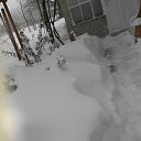 ���� ���������, ������ - ��������� 6 ������ 2017 � ������ ������ ��������