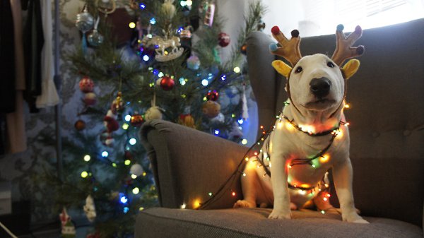 Hrafnsmerki things - https://vk.com/hrafnsmerki.Представляет вещички с авторским принтом, ... - 5