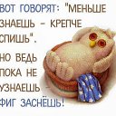 ���� ���������, ������, 59 ��� - ��������� 3 ������� 2017 � ������ ������ ��������