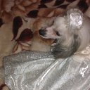 ���� ��� �� ����� �� ������� ���� �������