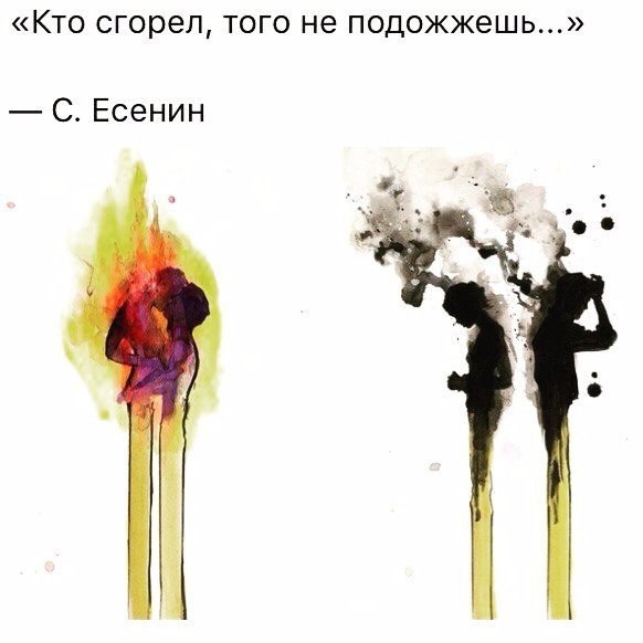   -  ,  -  - 24  2016  12:07