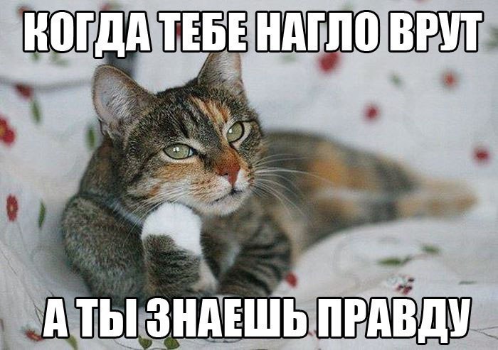    :D - 8  2017  11:15