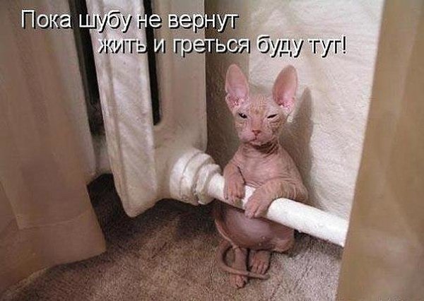 Comedy Club - 11 ������ 2017 � 22:24