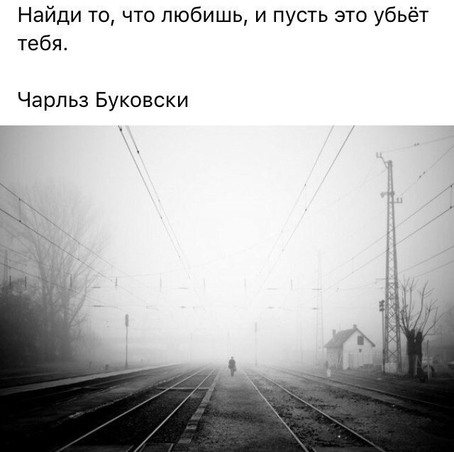   - 12  2017  05:03