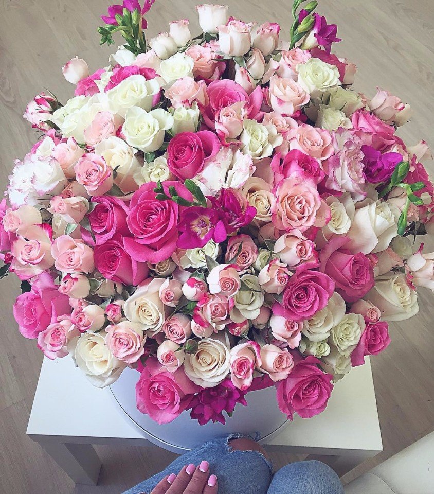 Fashion Club - 5  2016  12:16