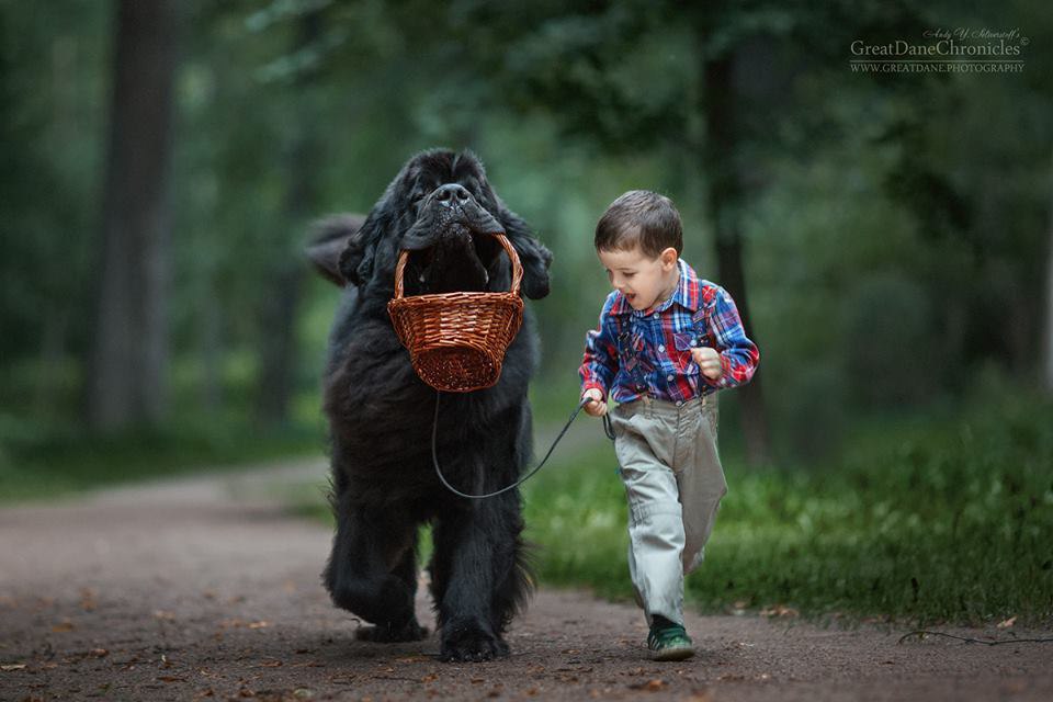    . )))