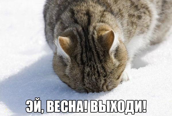       - 17  2017  12:52