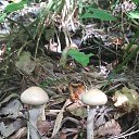 ���� ������, ������, 51 ��� - ��������� 29 �������� 2016 � ������ ������ - ������ � ����������