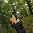 ���� ��������, ����� - ��������� 4 ������� 2016 � ������ ���� ����������