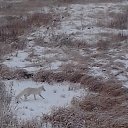 ���� �������, �������������, 58 ��� - ��������� 11 ������ 2016 � ������ ���� ����������