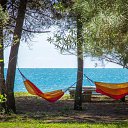 ���� ���������, ����������, 35 ��� - ��������� 11 ������ 2016 � ������ ���� ����������