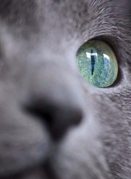       - 6  2016  17:18 - 5