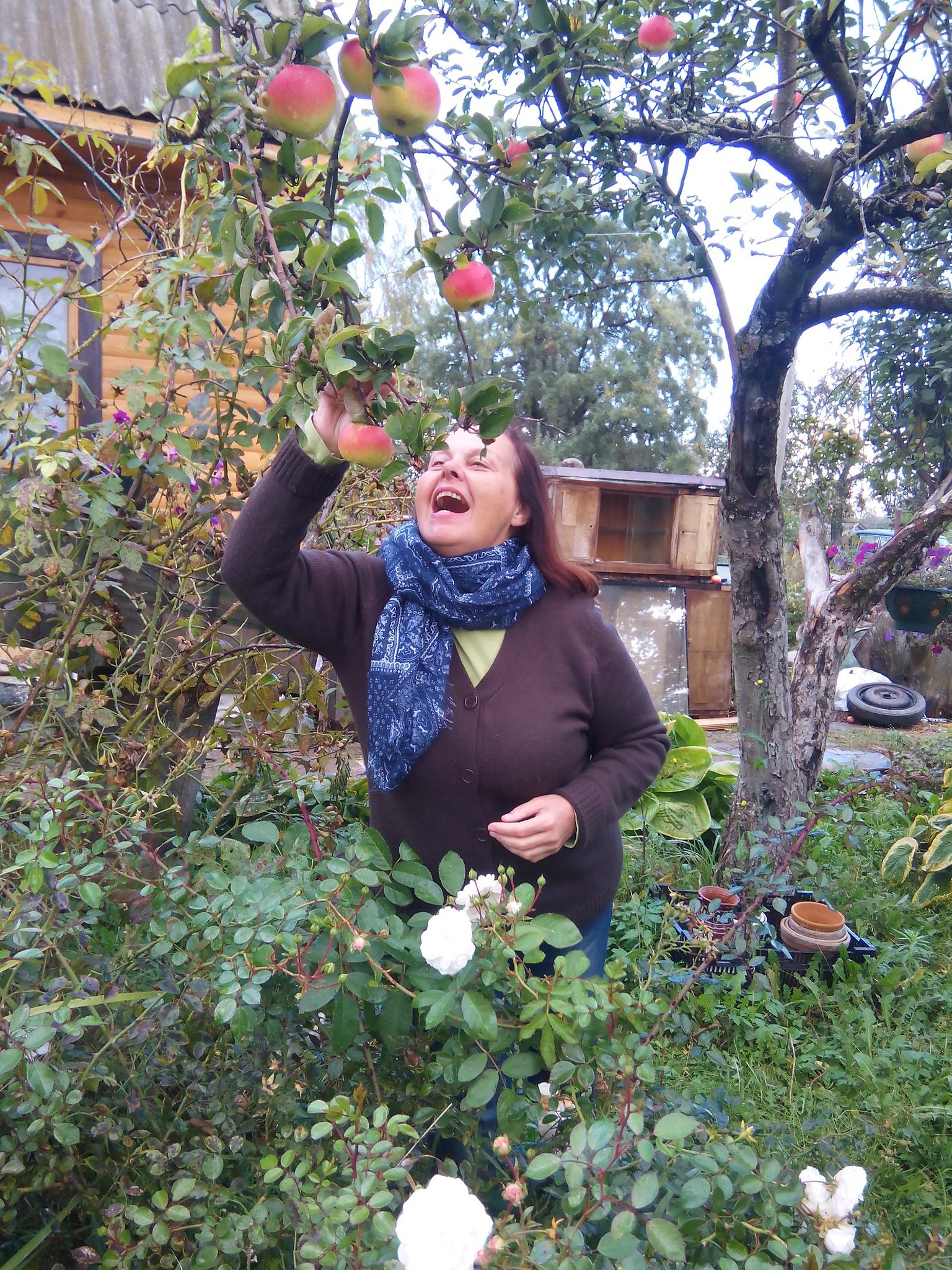  - 10  2017  03:50 - 5