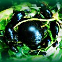  Sebastian, , 54  -  20  2017    