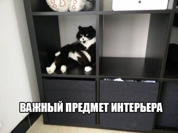  -  - 10  2017  13:29