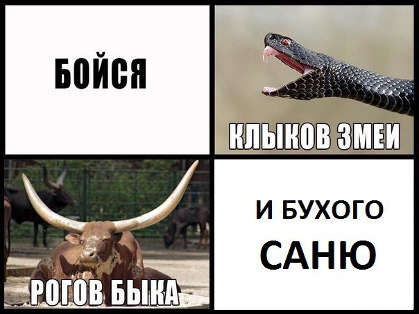  - 24  2017  13:44