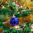 ���� �����, �����, 61 ��� - ��������� 26 ������� 2016 � ������ �������