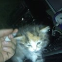 ���� ������, ���������, 46 ��� - ��������� 1 ������� 2016 � ������ ������ ��������