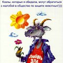 ���� �����, ������-��-���� - ��������� 15 �������� 2016 � ������ ������ ��������