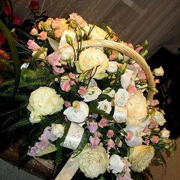 ���� �����, ������, 36 ��� - ��������� 24 �������� 2016