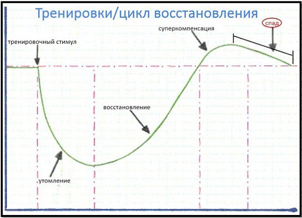 Можно ли качаться каждый день? Вся правда. Можно ли качаться каждый день? Недвусмысленный ответ. ... - 3