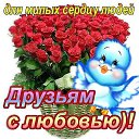 ���� �������, ����������, 46 ��� - ��������� 26 ������ 2016 � ������ ���� ����������