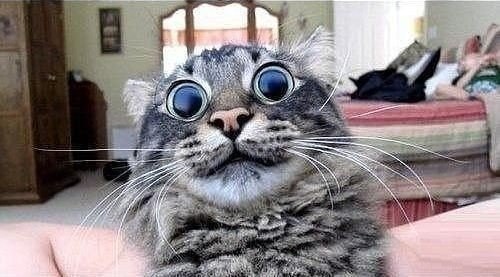 — Мне, пожалуйста, успокоительного. .— Вам в каплях или в таблетках? — Не зли меня !!!