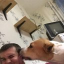 ���� �������, ������-��-����, 37 ��� - ��������� 20 ������� 2016