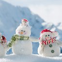 ���� �����, ������ - ��������� 8 ������ 2017 � ������ ������ ��������