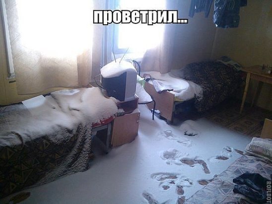  - - 29  2016  12:53
