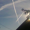 ���� Igor, ���������, 56 ��� - ��������� 29 ������ 2017 � ������ ���� ����������