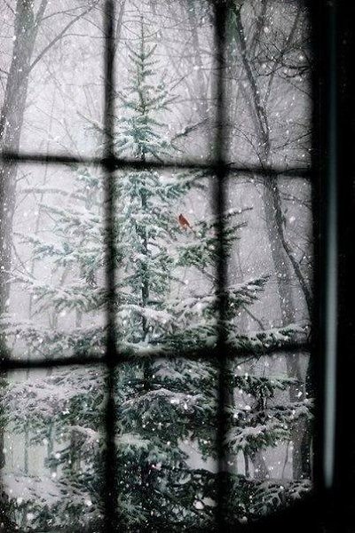 Если бы было две жизни, можно было бы одну посвятить напрасным сожалениям и скорби. Но она одна. ...