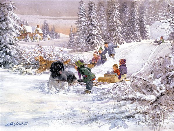 Через два месяца Новый год. Все куда-то поедут: кто-то в Тайланд, кто-то в Доминикану. Ну а я - на ...