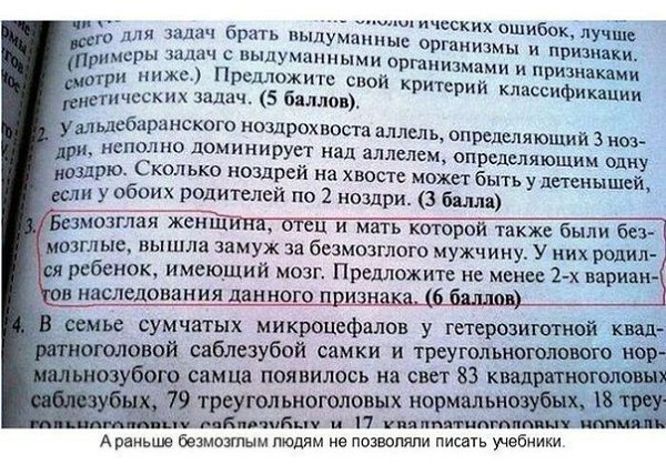 Невероятно сложно читать, пытаться осознать и уж тем паче комментировать современные школьные ... - 7