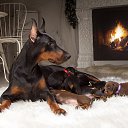 -   ,     ...    ,   .  ,      ...    . -    