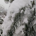 ���� ������, ������, 54 ���� - ��������� 14 ������ 2016 � ������ �������� ������