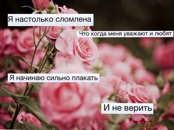    - 10  2016  12:13
