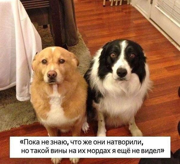 ������ - 28 �������� 2016 � 00:15
