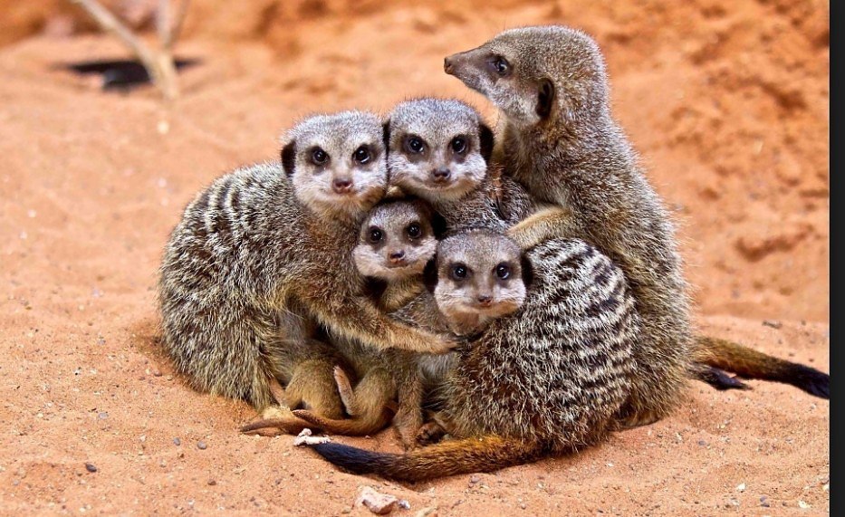    ...     ...      ... - 3