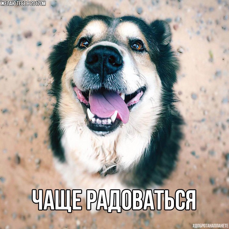    2017 https://fotostrana.ru/away?to=/sl/cSD2      #