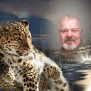 ���� ������, ���, 67 ��� - ��������� 15 ����� 2017 � ������ ���� ����������