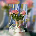 ���� ������, �����-���������, 40 ��� - ��������� 23 ������� 2016 � ������ ���� ����������