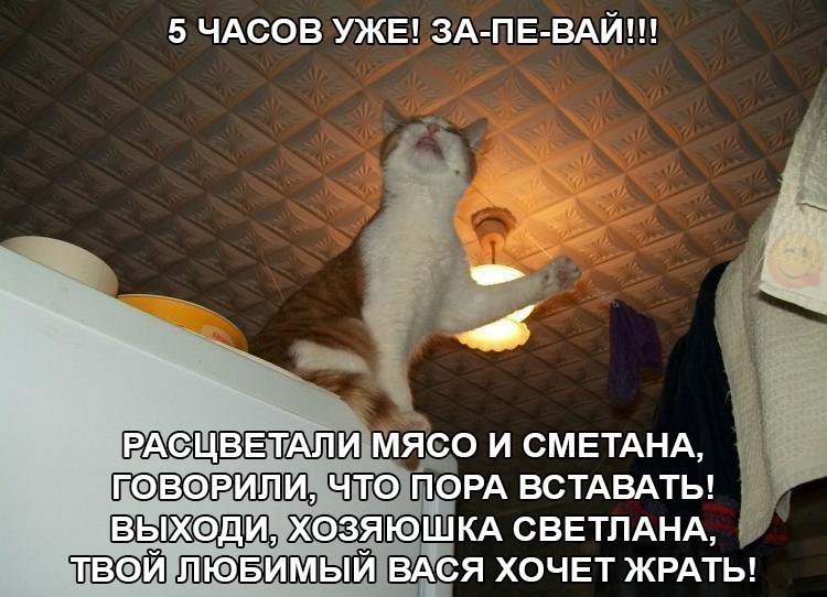    :D - 3  2016  15:36