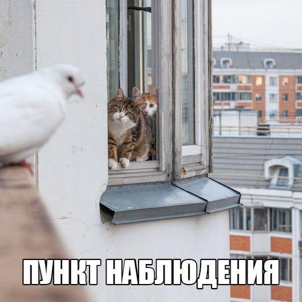    - 27  2016  01:12