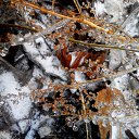���� Seleniya, ������, 50 ��� - ��������� 8 ������� 2017 � ������ ������ ��������