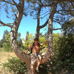 ����������� �������� 2013