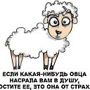 ���� Ce����, ������, 49 ��� - ��������� 23 ������ 2017 � ������ ���� ����������