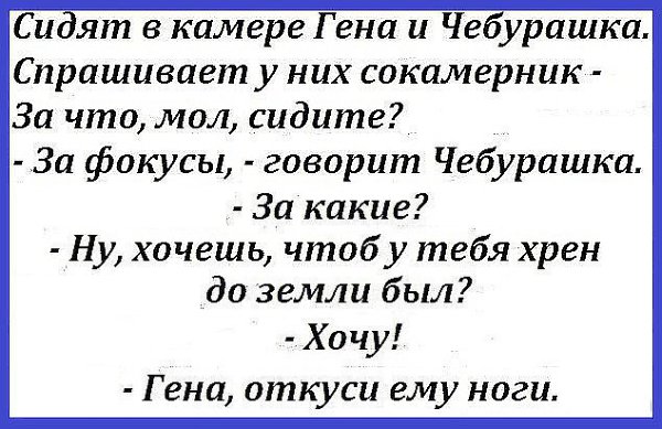 Жизнь слишком коротка, чтобы тратить ее на диеты, жадных мужчин и плохое настроение. - 2