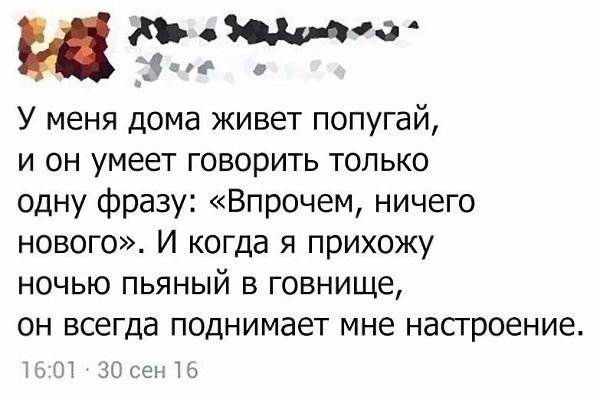 " —  ...  " - 29  2017  22:03