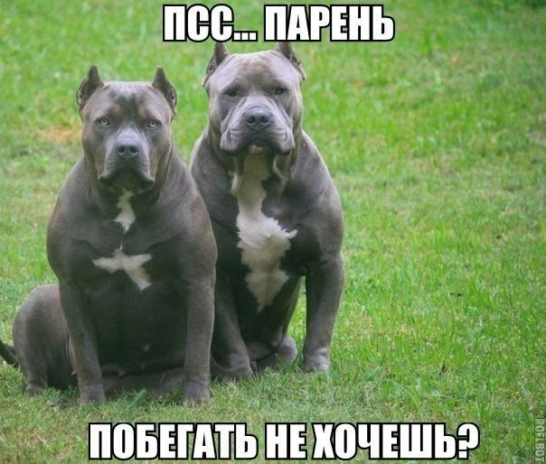 ? ,  ! - 14  2016  15:58